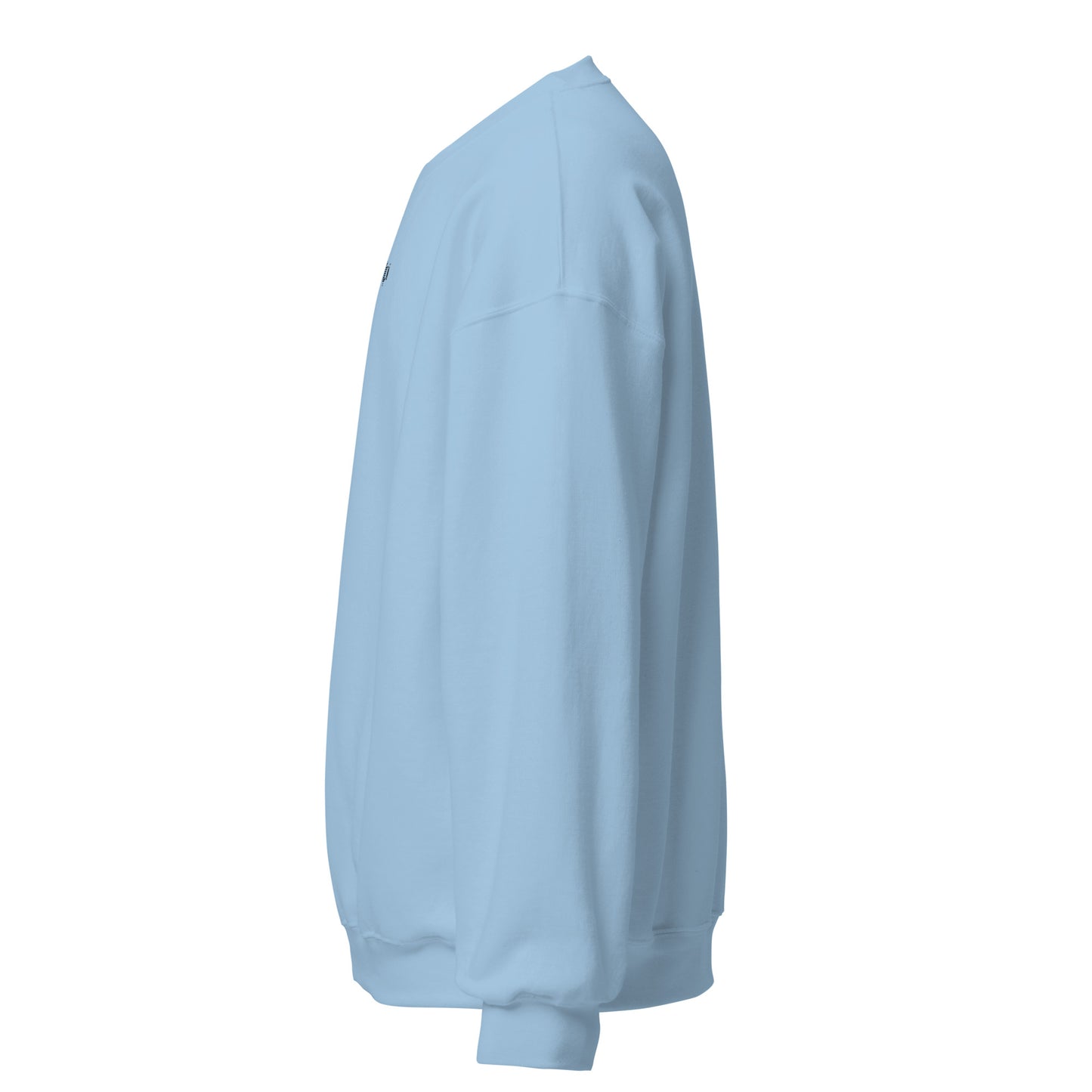 Lipi - Embroidered Sweatshirt / Blue